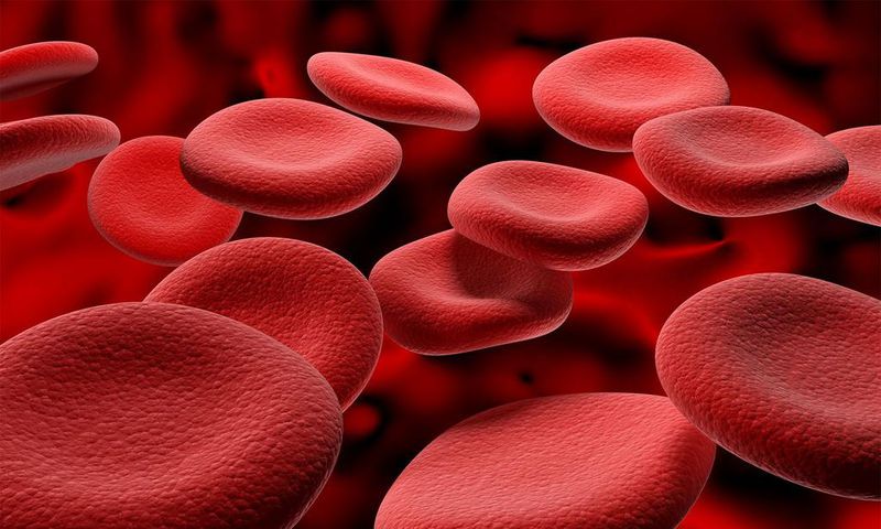 10 Langkah Detoks Pembuluh Darah Secara Alami